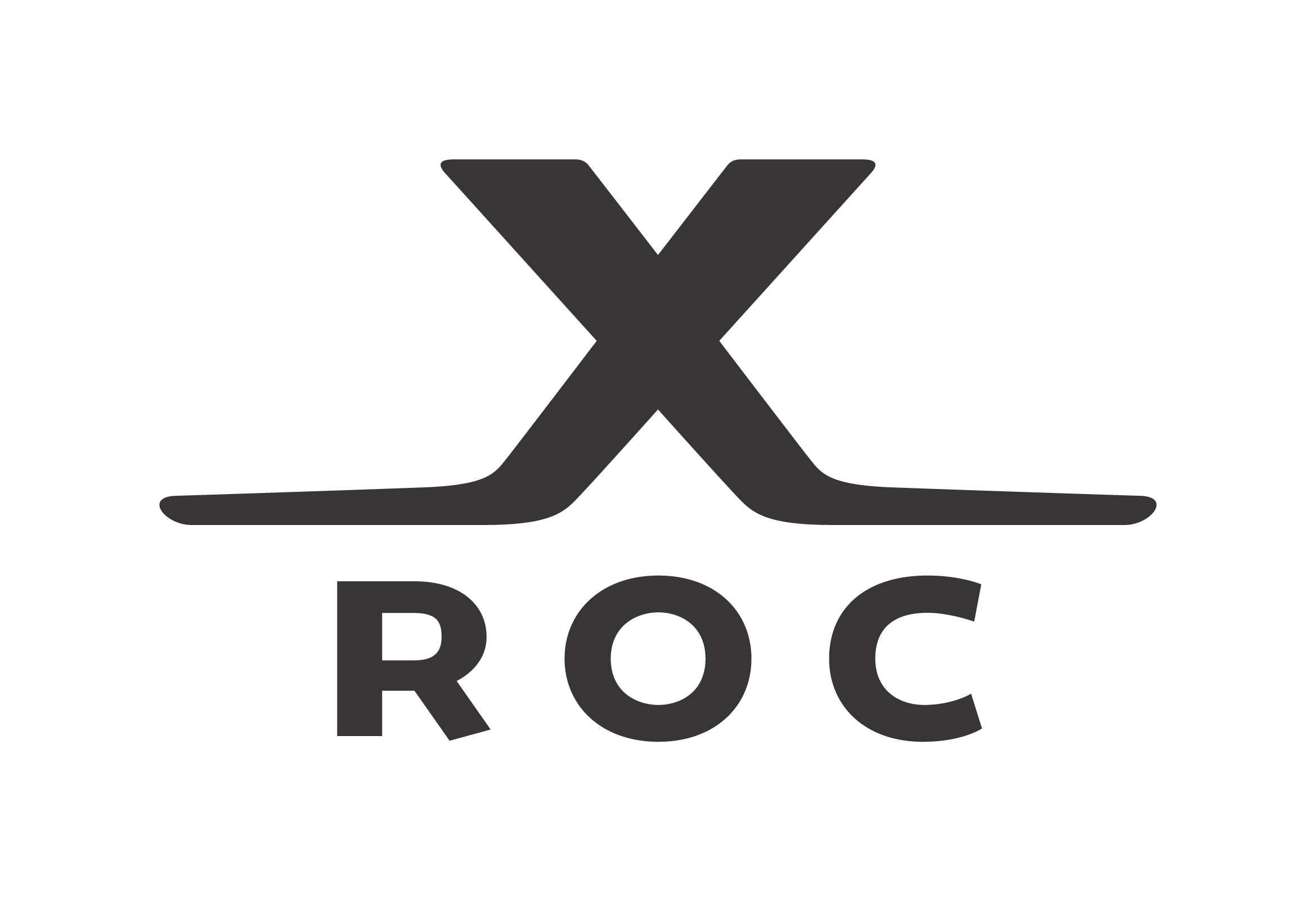 885942_RZ-AUER-logo-CMYK-black-1c5bc9a6b4a9825 XROC Schutzkoffer Pro Trolley L55 x B40 x H22,3 cm (CP5422)