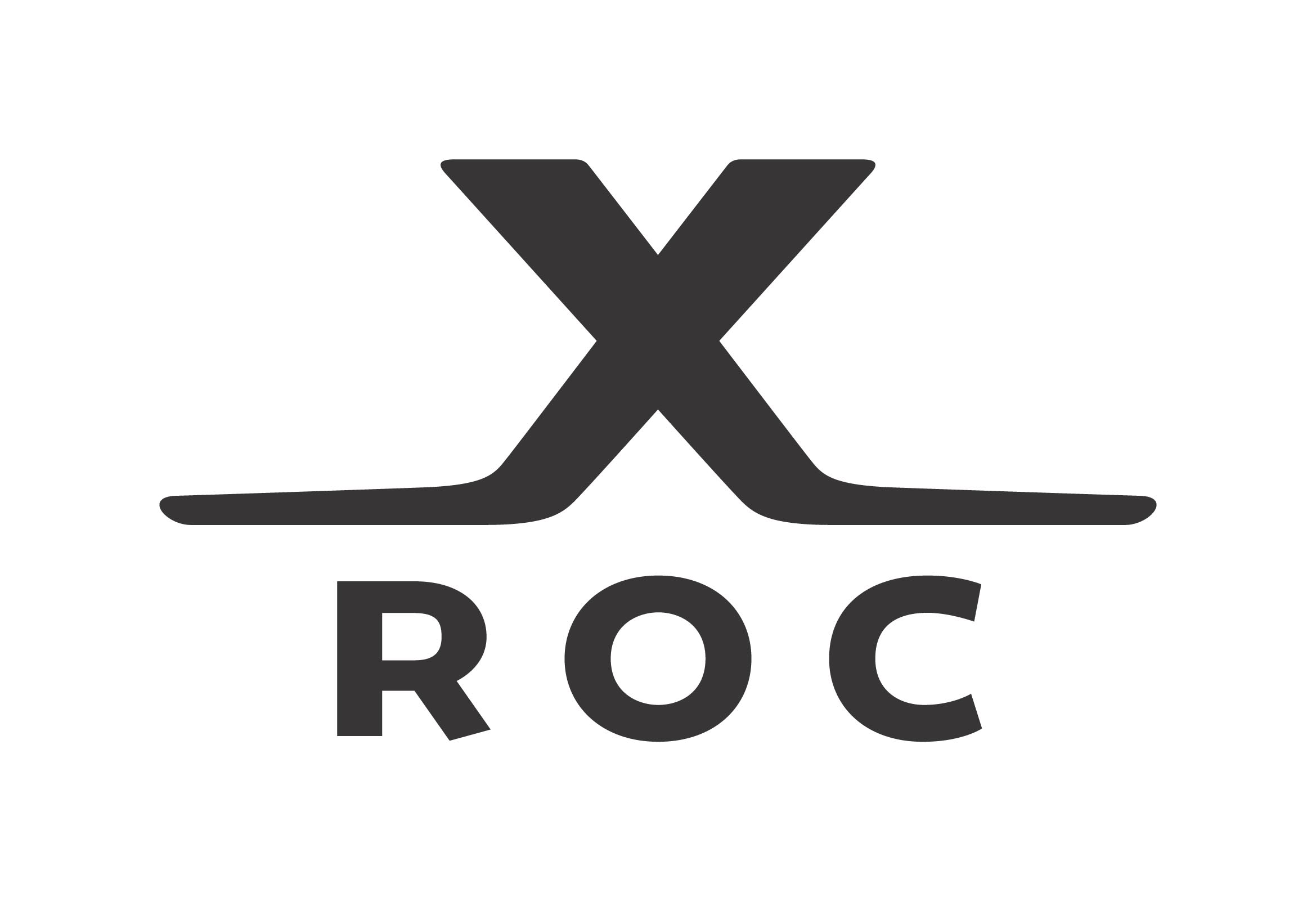 885942_RZ-AUER-logo-CMYK-black-1c5bc9acf2cecc5 XROC Schutzkoffer Pro Trolley L60 x B40 x H33,3 cm (CP6433)